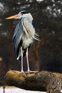 sample 6.jpg sample 6.jpg