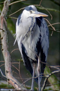 sample 7.jpg sample 7.jpg