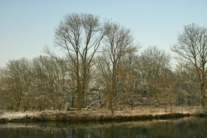 Winter-SD14 - SDIM3451.jpg