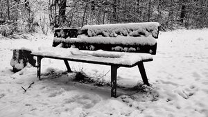 Winter-SD14 - SDIM3397_1-1x.jpg