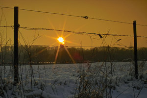 Winter-SD10 - IMG05508.jpg