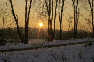 Winter-SD10 - IMG05510.jpg