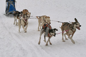 SDIM7271_1-1 Kopie Kopie.jpg