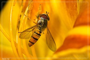 comp_SDIM2519.jpg comp_SDIM2519.jpg