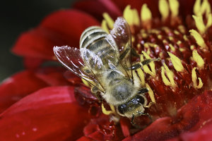 SDIM5666_1-3 Kopie Kopie.jpg