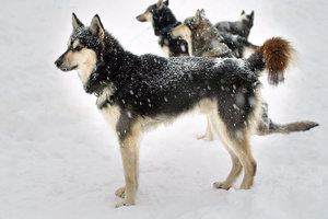 SDIM7222_1-1 Kopie Kopie.jpg