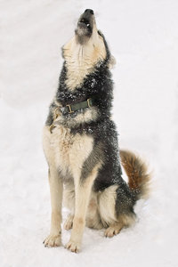 SDIM7228_1-1 Kopie Kopie.jpg