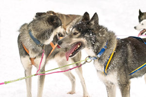 SDIM7255_1-1 Kopie Kopie.jpg