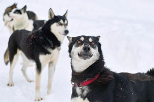 SDIM7279_1-1 Kopie Kopie.jpg