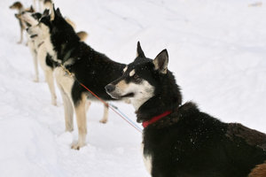 SDIM7281_1-1 Kopie Kopie.jpg