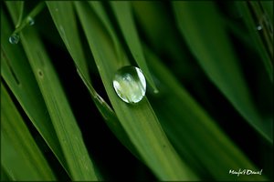 Wassertropfen_Macro.jpg