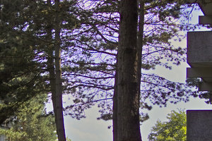 IMG00187.jpg IMG00187.jpg