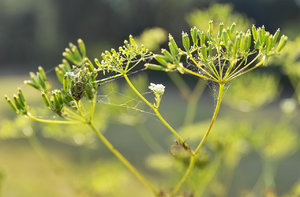 IMG00200.jpg IMG00200.jpg