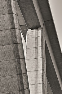 IMG00202.jpg IMG00202.jpg