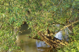 IMG00204.jpg IMG00204.jpg