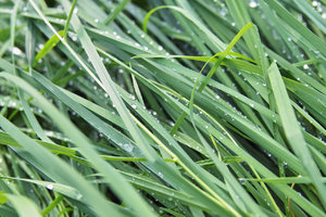 IMG00221.jpg IMG00221.jpg