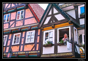 SDIM2536_1 Kopie.jpg