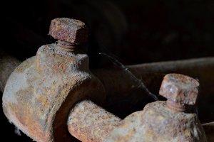 DSC_0445.JPG DSC_0445.JPG