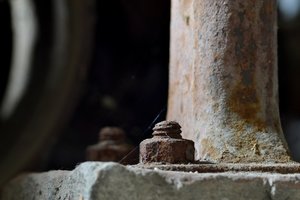 DSC_0462.JPG DSC_0462.JPG