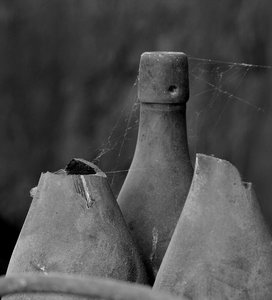 DSC_0482.JPG DSC_0482.JPG