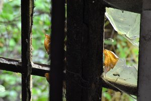 DSC_0492.JPG DSC_0492.JPG