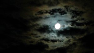 comp_Vollmond1.jpg comp_Vollmond1.jpg