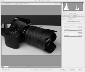 DIalog Objektivkorrekturen 1.jpeg