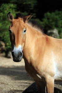 comp__G0N0841.jpg comp__G0N0841.jpg