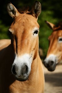 comp__G0N0842.jpg comp__G0N0842.jpg