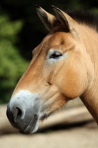 comp__G0N0847.jpg comp__G0N0847.jpg