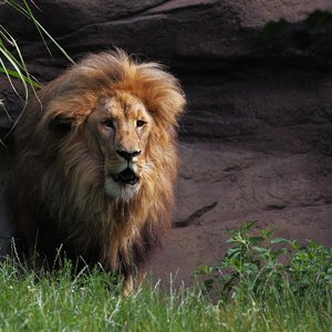 comp__G0N0880.jpg comp__G0N0880.jpg