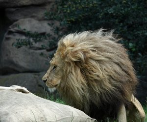 comp__G0N0883.jpg comp__G0N0883.jpg