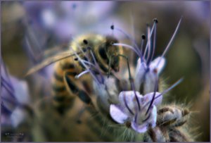 comp__DSC4587 -1.jpg