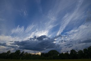 EDFE Surrounding.jpg