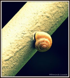 SAM_3656_bearbeitet-1 (2).JPG