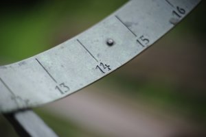 comp__D702222.jpg comp__D702222.jpg