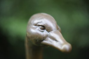 comp__D702238.jpg comp__D702238.jpg