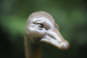 comp__D702241.jpg comp__D702241.jpg