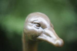 comp__D702246.jpg comp__D702246.jpg