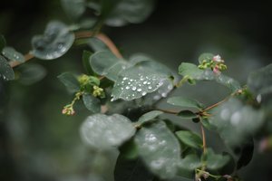 comp__D702277.jpg comp__D702277.jpg