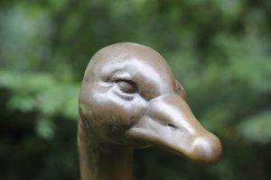 comp__D702252.jpg comp__D702252.jpg