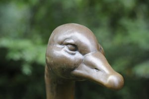 comp__D702253.jpg comp__D702253.jpg