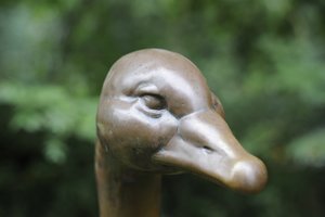 comp__D702254.jpg comp__D702254.jpg