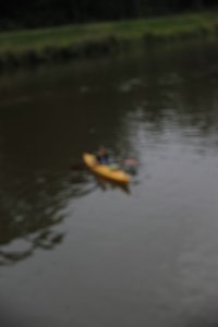 comp__D702270.jpg comp__D702270.jpg