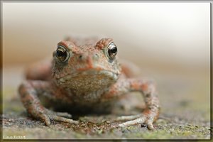 Sample 9.jpg Sample 9.jpg