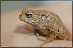 Sample 10.jpg Sample 10.jpg