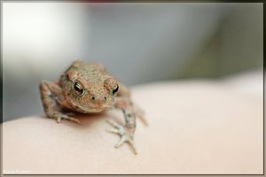 Sample 11.jpg Sample 11.jpg