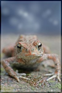 Sample 14.jpg Sample 14.jpg