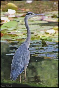 Sample 23.jpg Sample 23.jpg