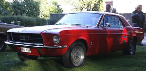 comp_Mustang 1_cleaned.jpg